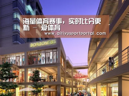 案例展示一(图1)