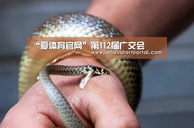 爱体育