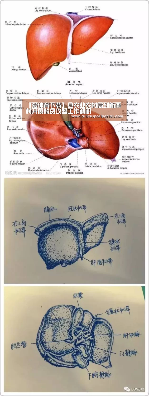 爱体育直播