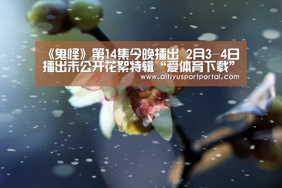 爱体育